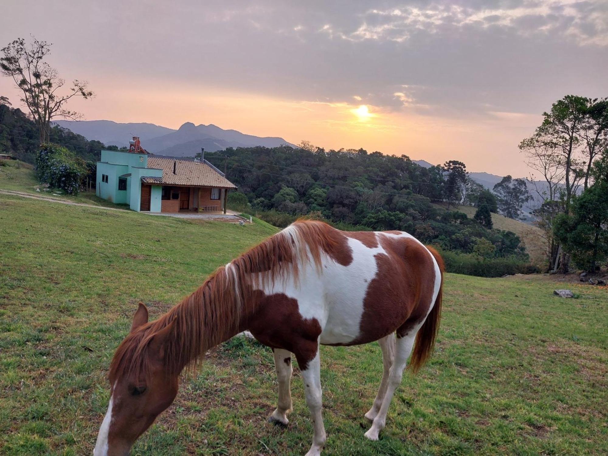 Casa Na Montanha Βίλα Gonçalves Εξωτερικό φωτογραφία
